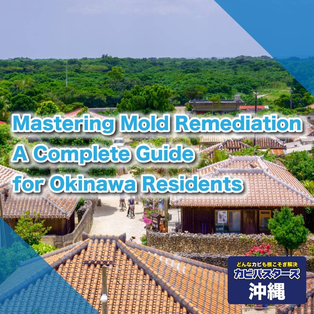 Mold Remediation: The Complete Guide