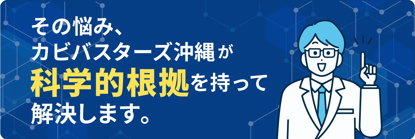 沖縄県のカビの悩み科学的に解決します