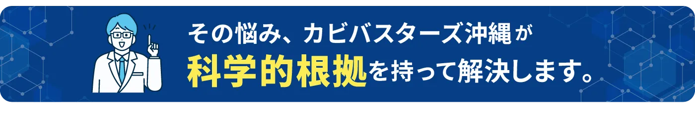 沖縄県のカビの悩み科学的に解決します