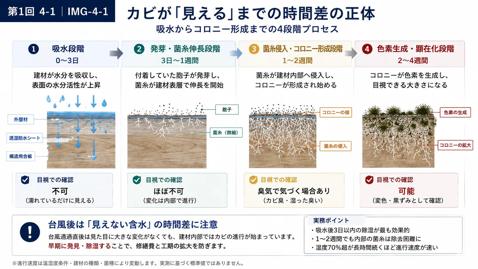 台風とカビ　2/3
