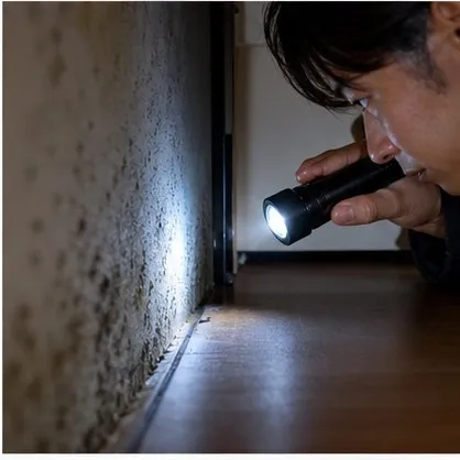 家具裏や壁際の見えないカビを調査するイメージ