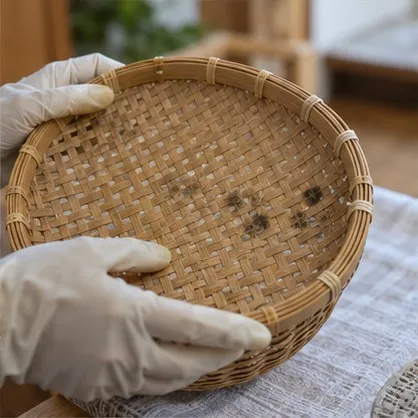 秋のエアコン内部カビ対策